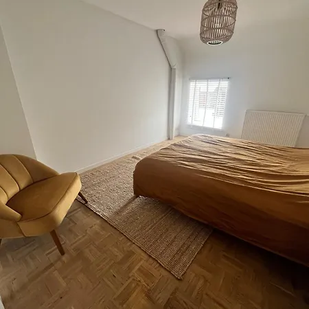 Cosy House